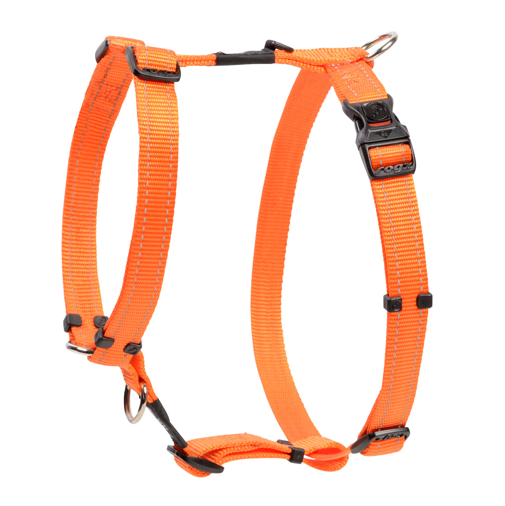 Classic Dog H-Harness