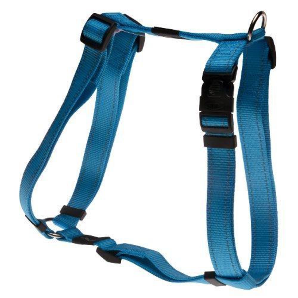 Classic Dog H-Harness X-Large- Turquoise
