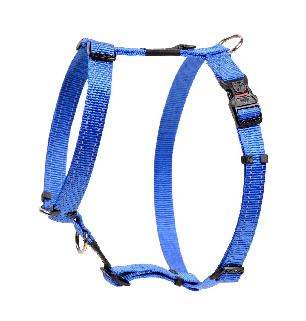 Classic Dog H-Harness Large- Blue