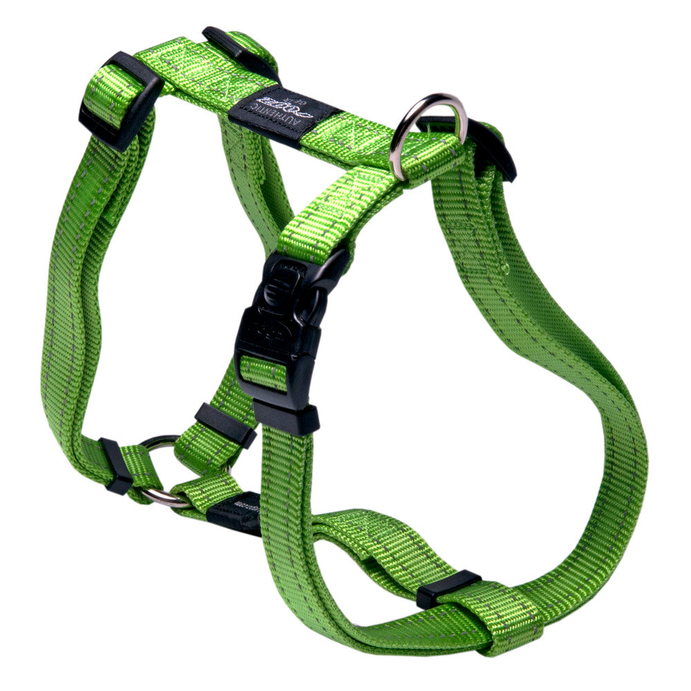 Classic Dog H-Harness Large- Lime