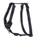 Control Harness
