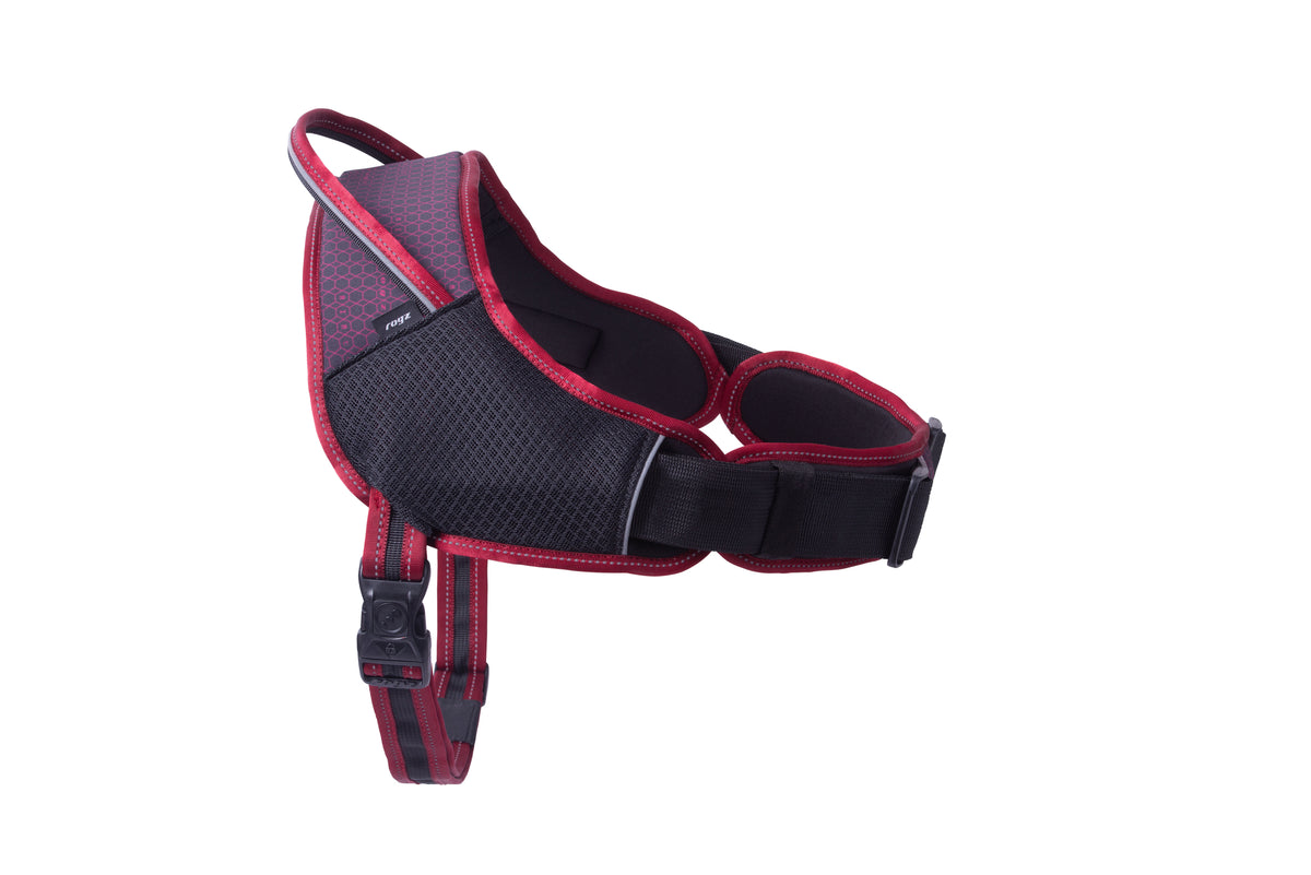 AirTech Dog Sport Harness