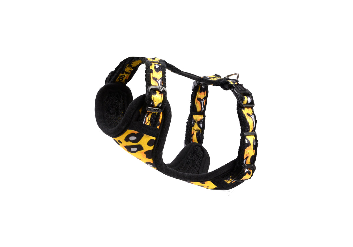 Small Dogs Safari Fashion Comfy Harness