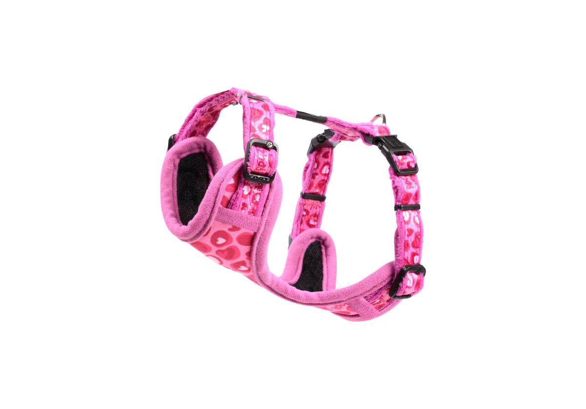 Small Dogs Safari Fashion Comfy Harness
