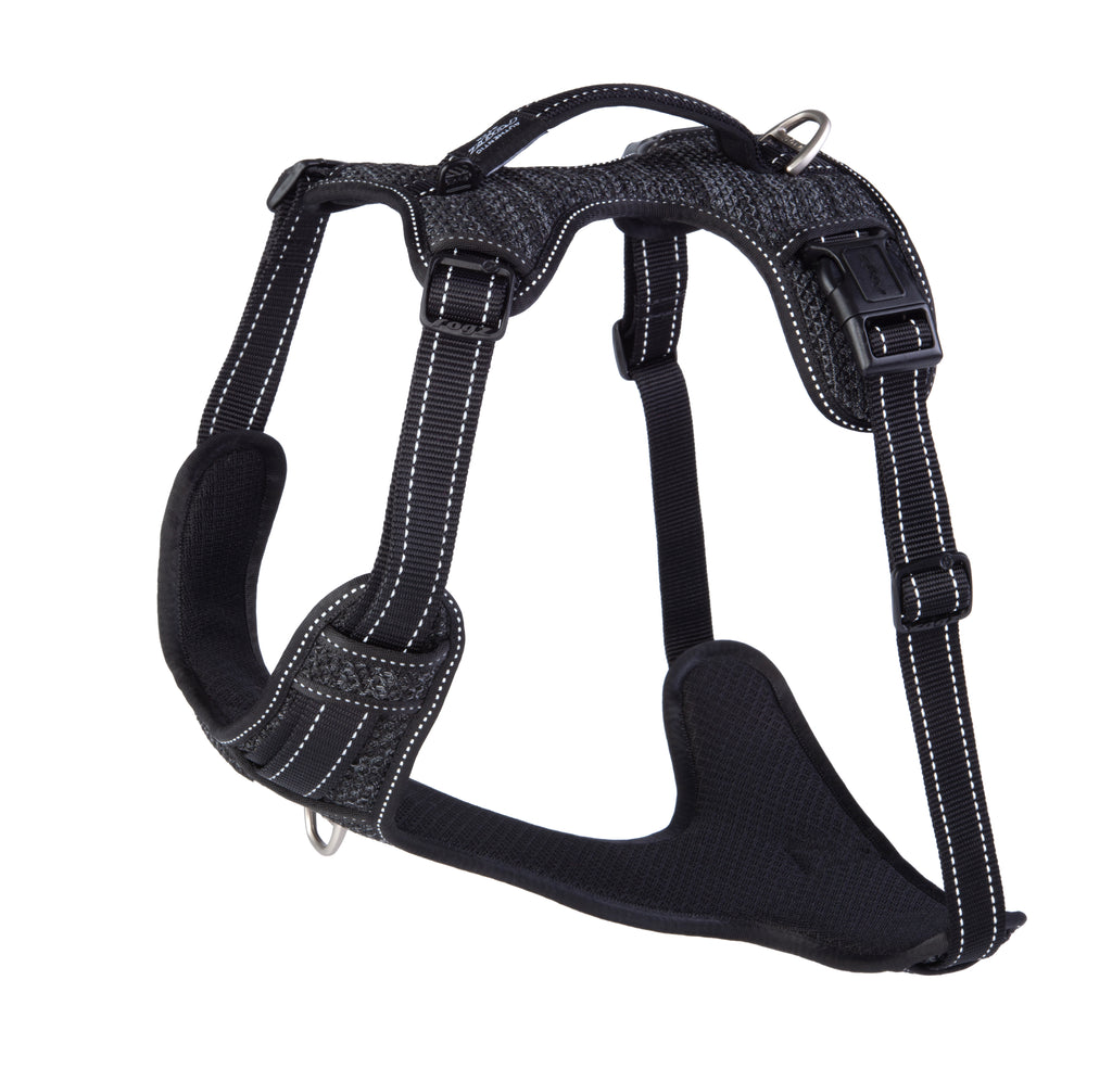 Explore Harness