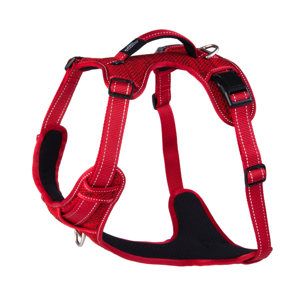 Explore Harness