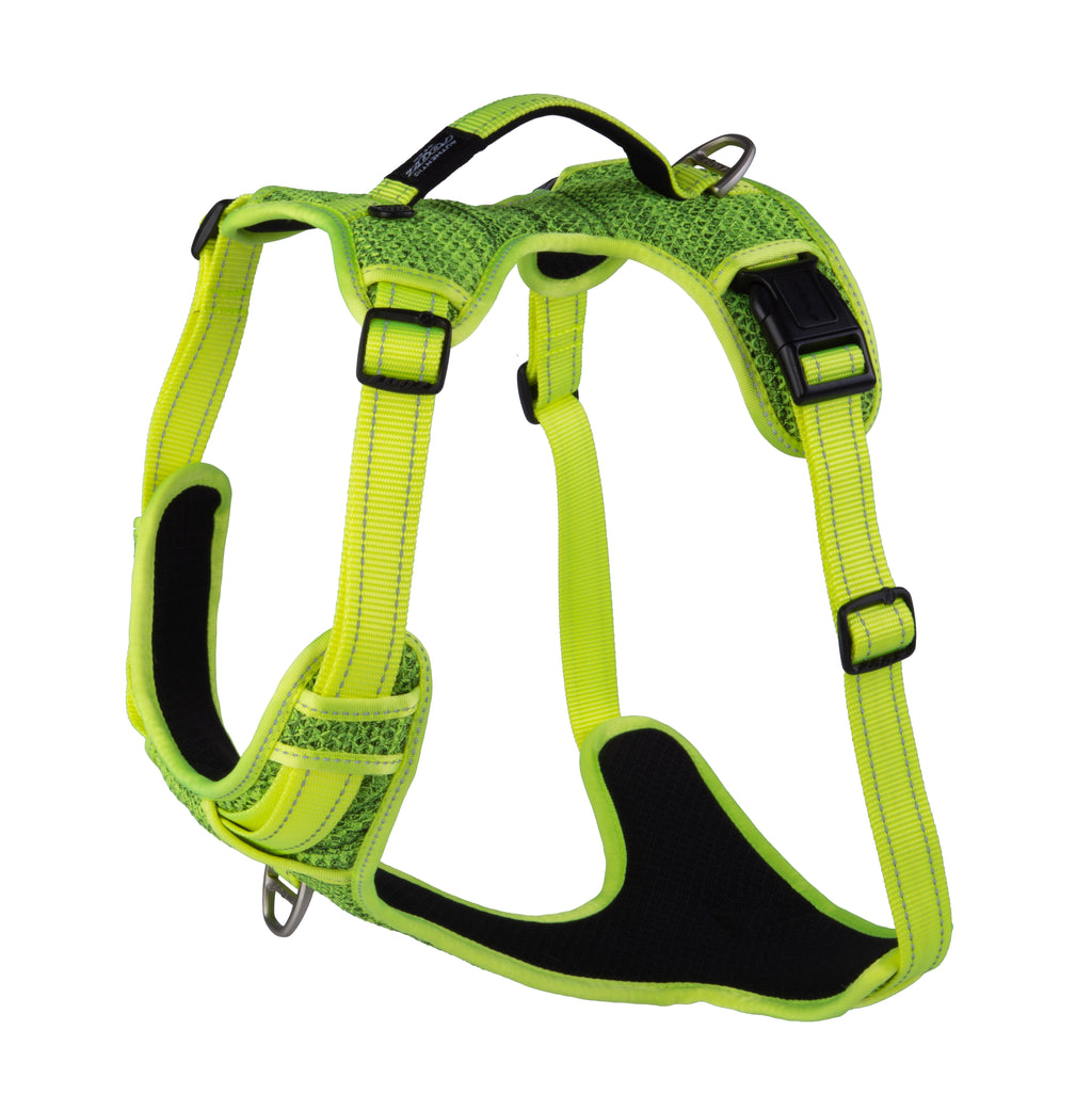 Explore Harness