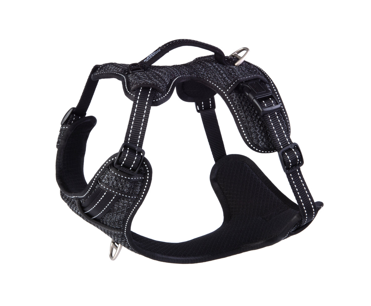 Explore Harness