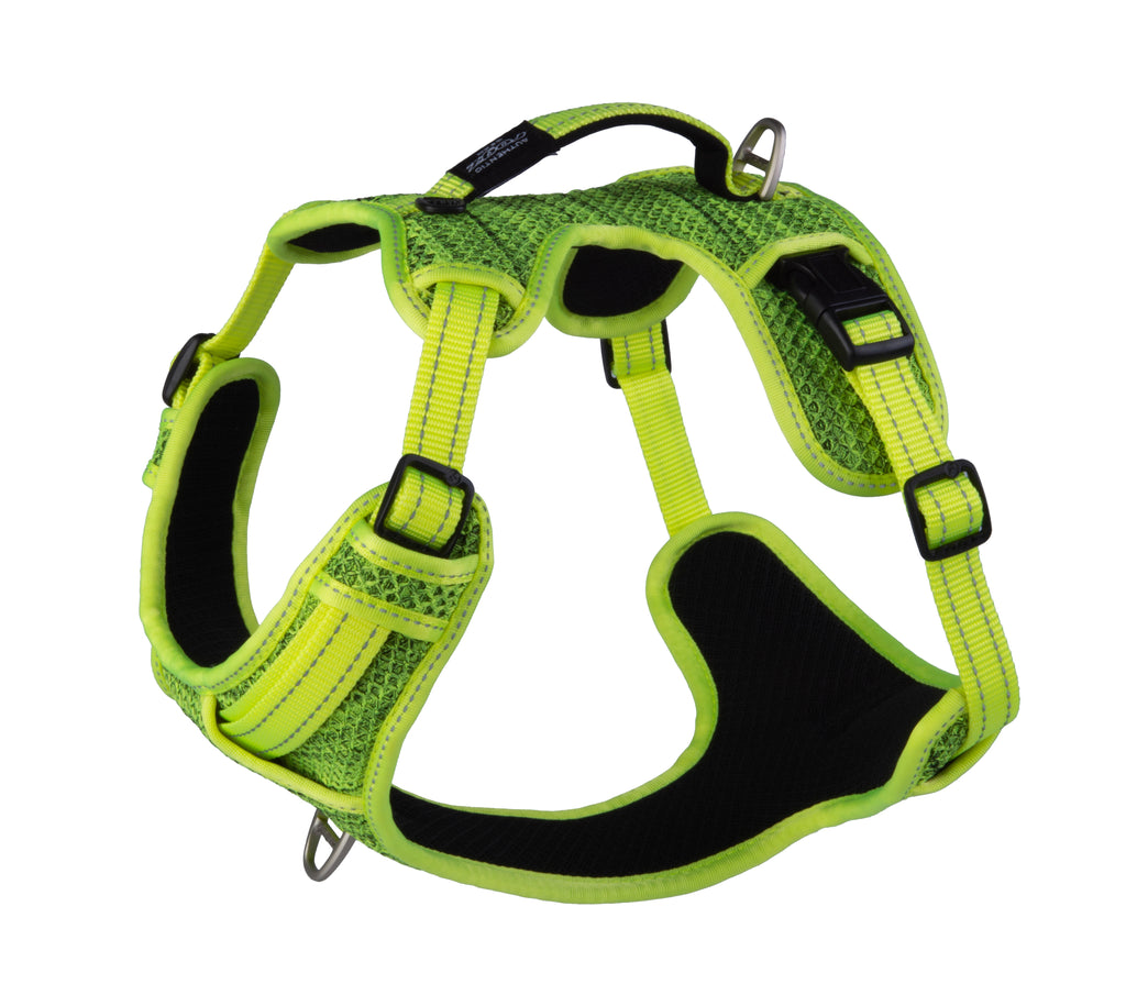 Explore Harness