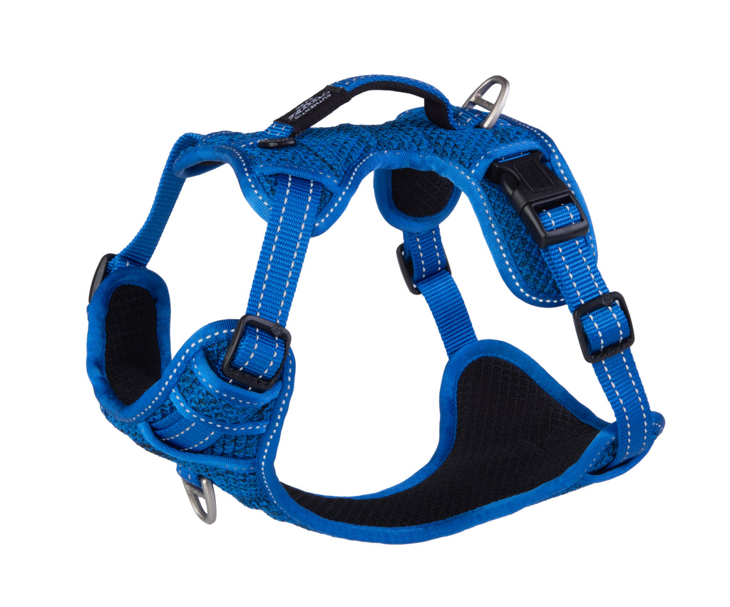 Explore Harness