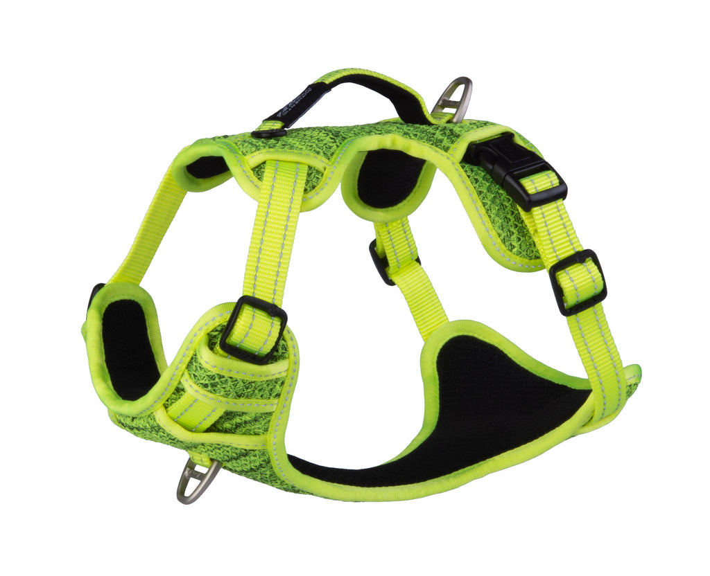 Explore Harness
