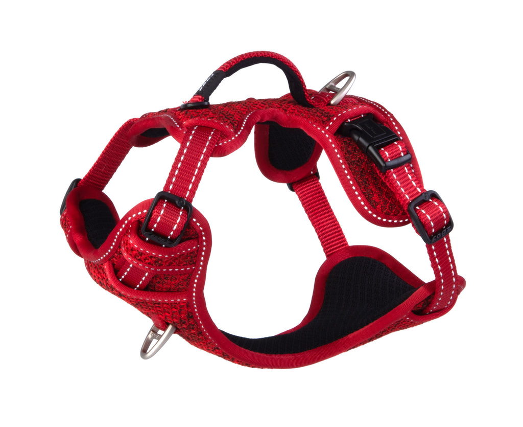 Explore Harness