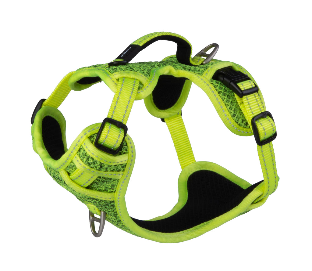Explore Harness