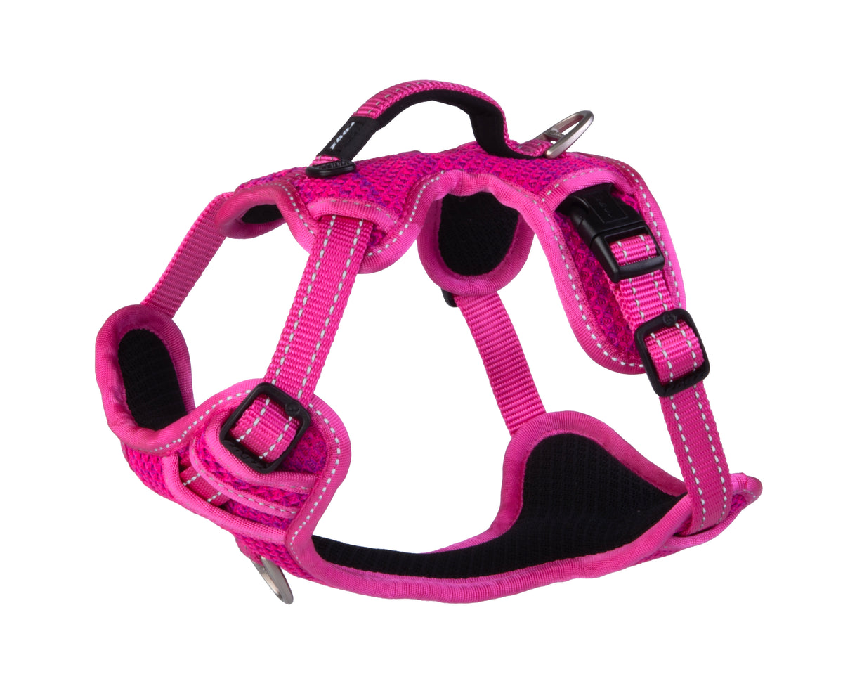 Explore Harness
