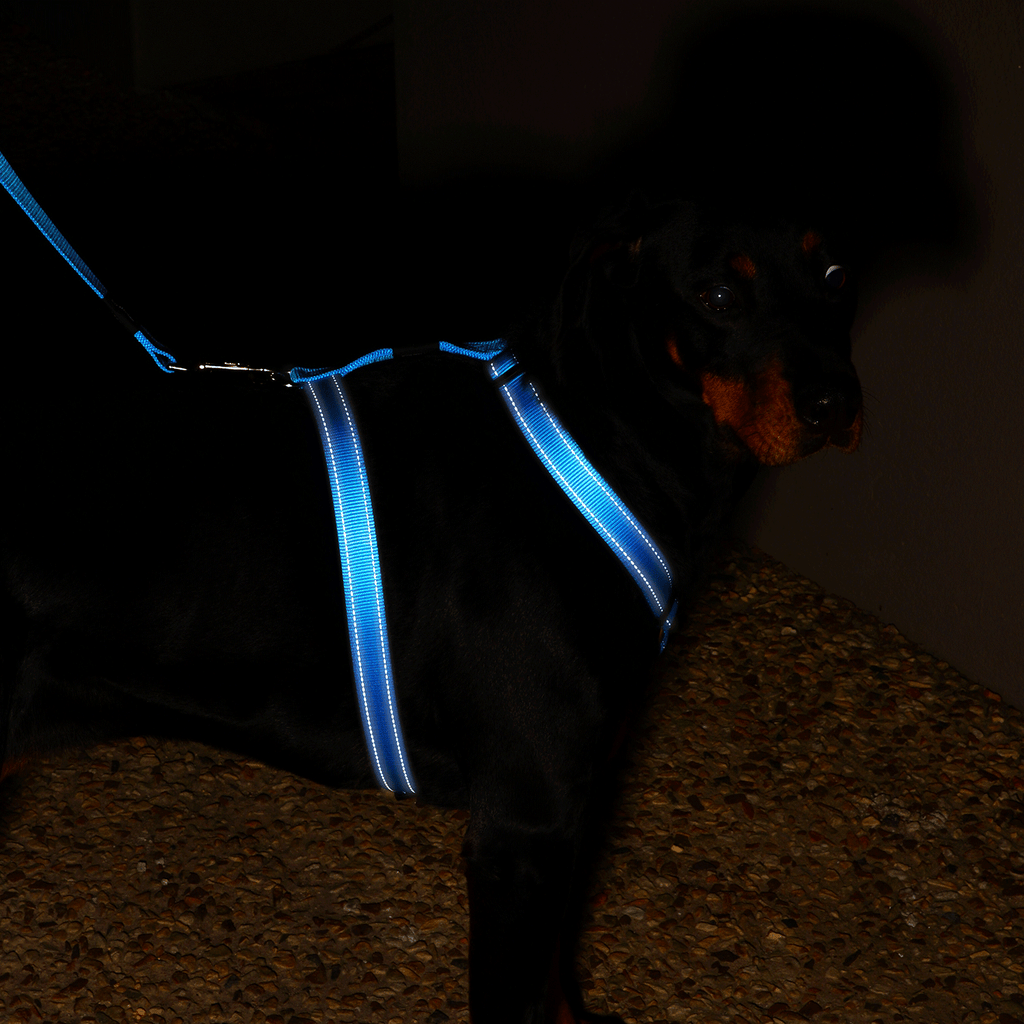 Classic Dog H-Harness