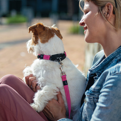 Rogz Control Martingale Web Collar
