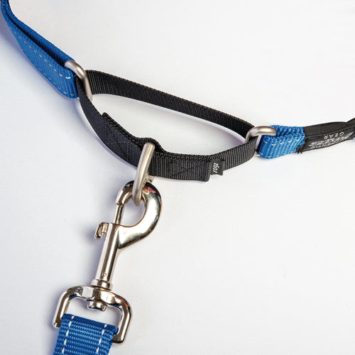 Rogz Control Martingale Web Collar