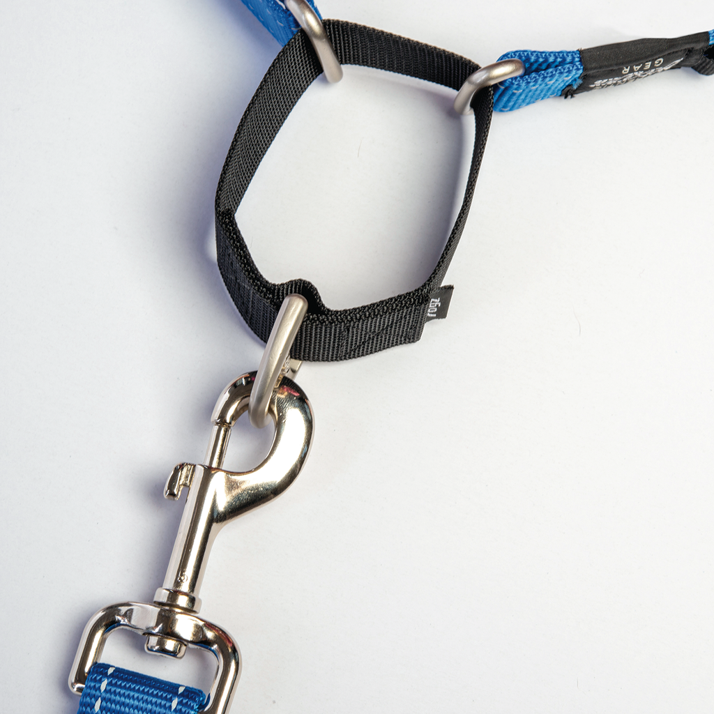 Rogz Control Martingale Web Collar