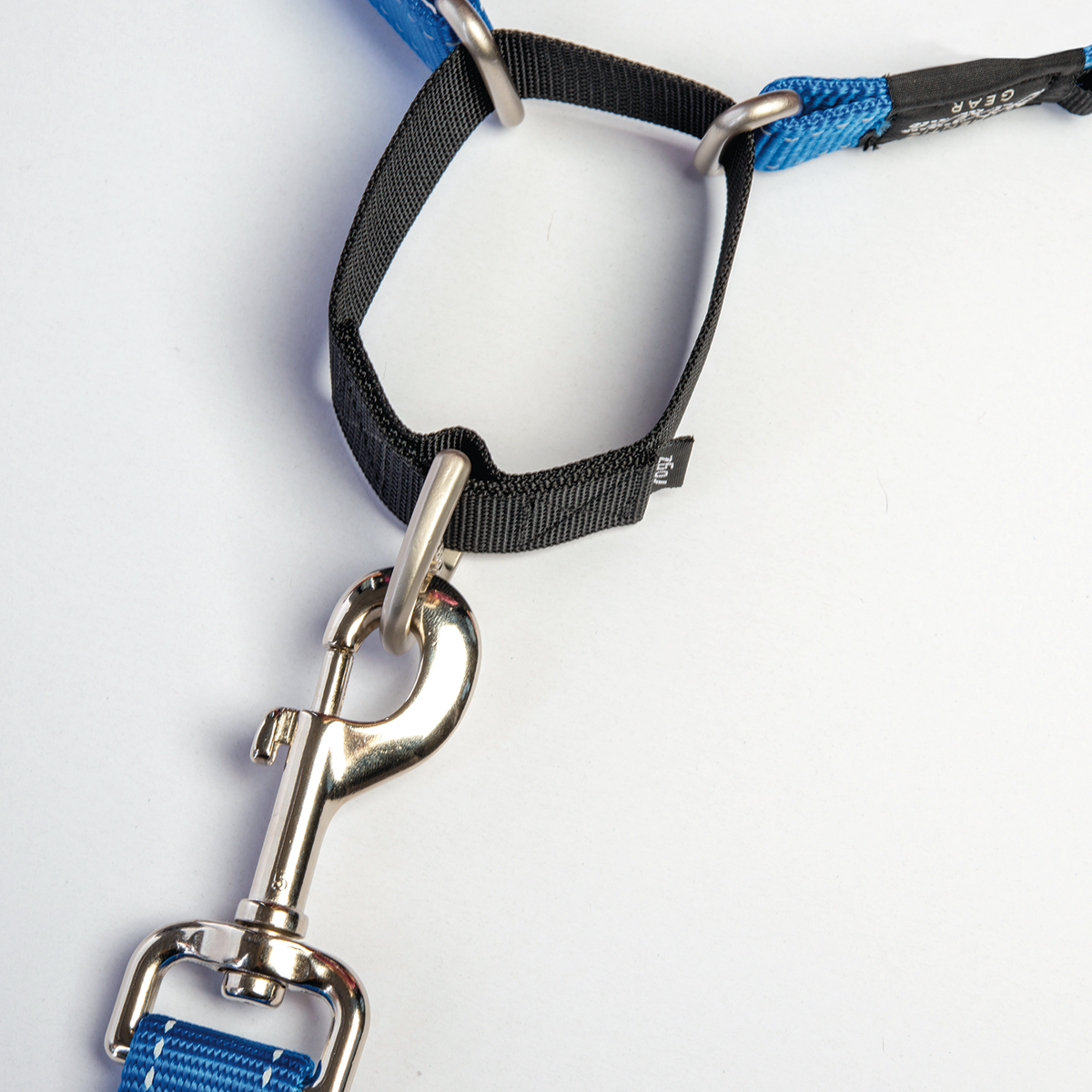 Rogz Control Martingale Web Collar