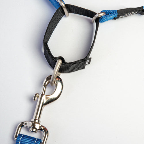 Rogz Control Martingale Web Collar