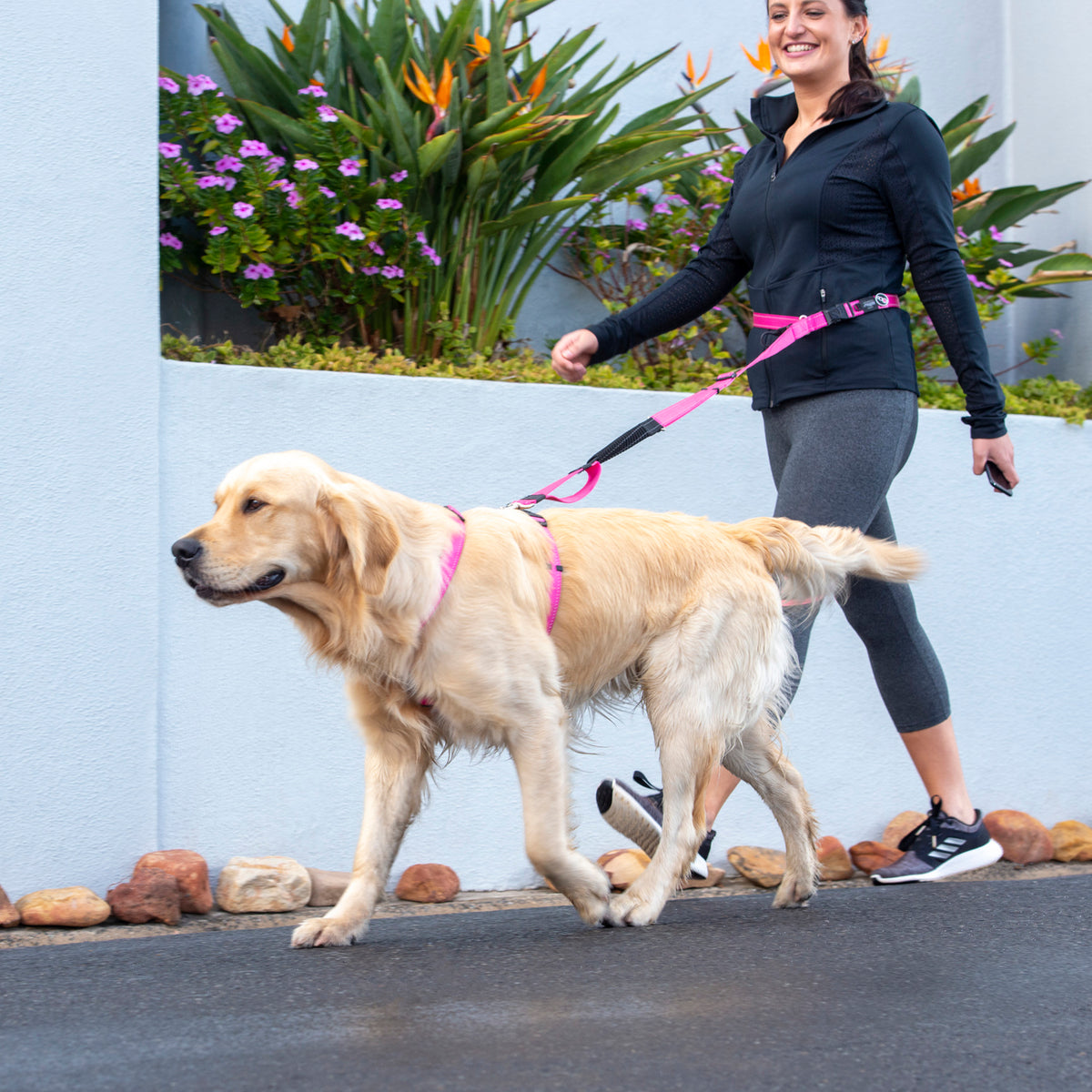 Rogz Utility Hands Free Dog Leash