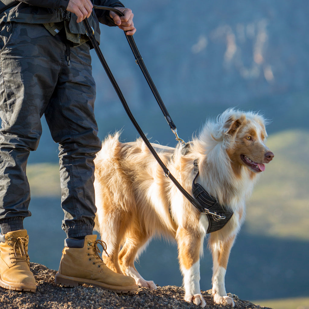 Rogz Multi Purpose Leash