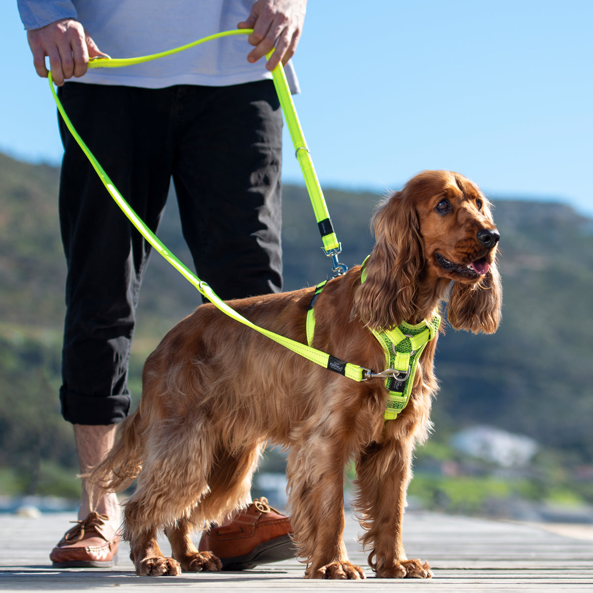 Rogz Multi Purpose Leash