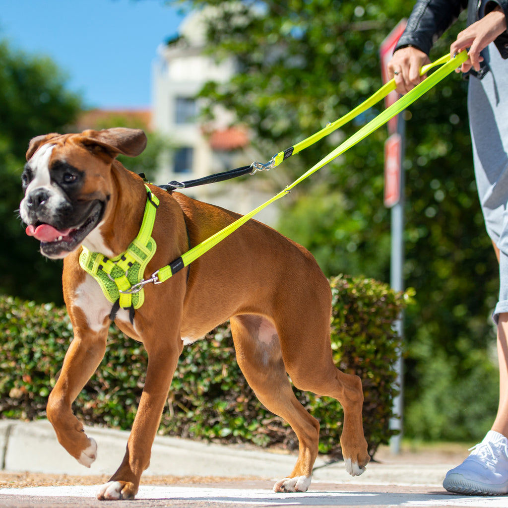 Rogz Multi Purpose Leash