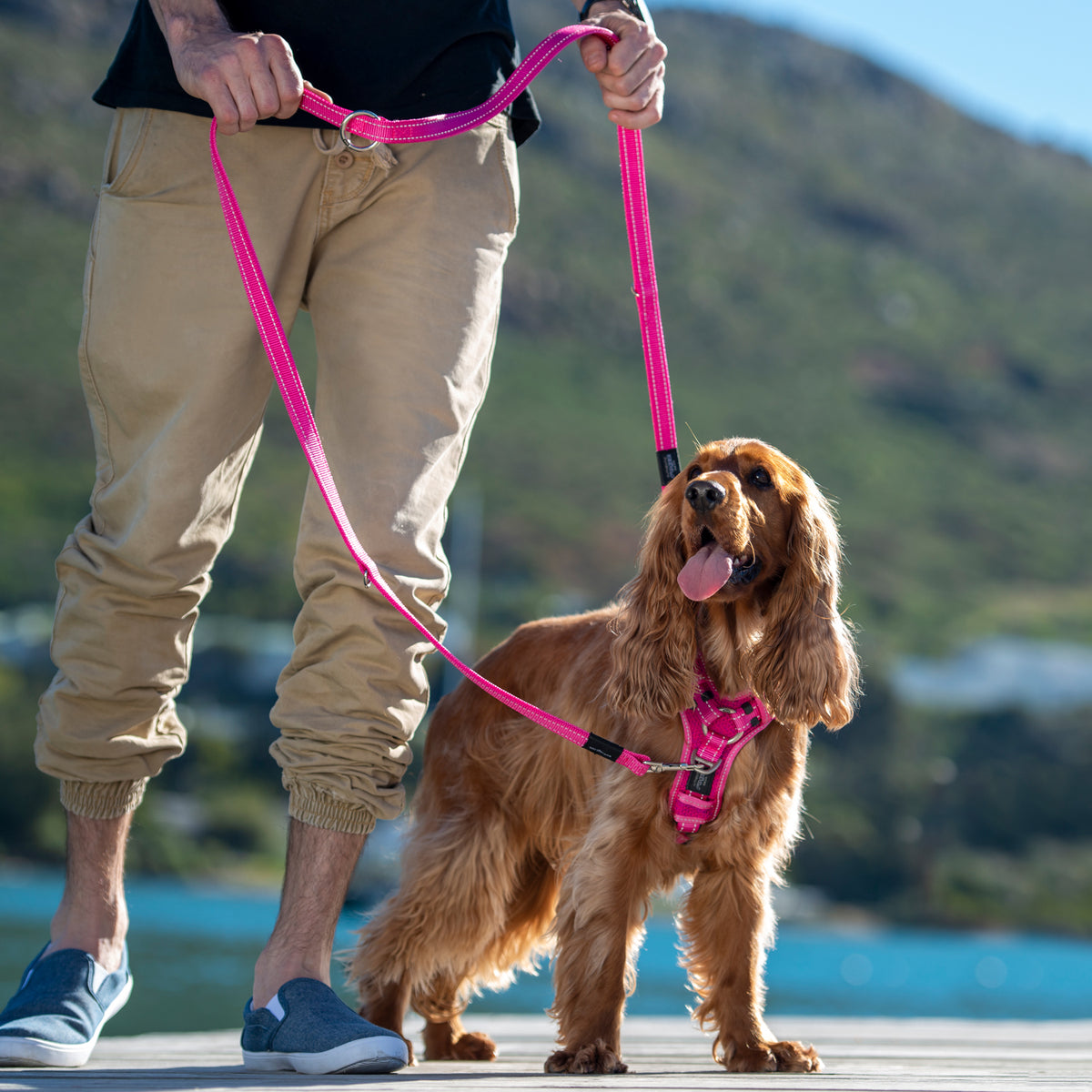 Rogz Multi Purpose Leash