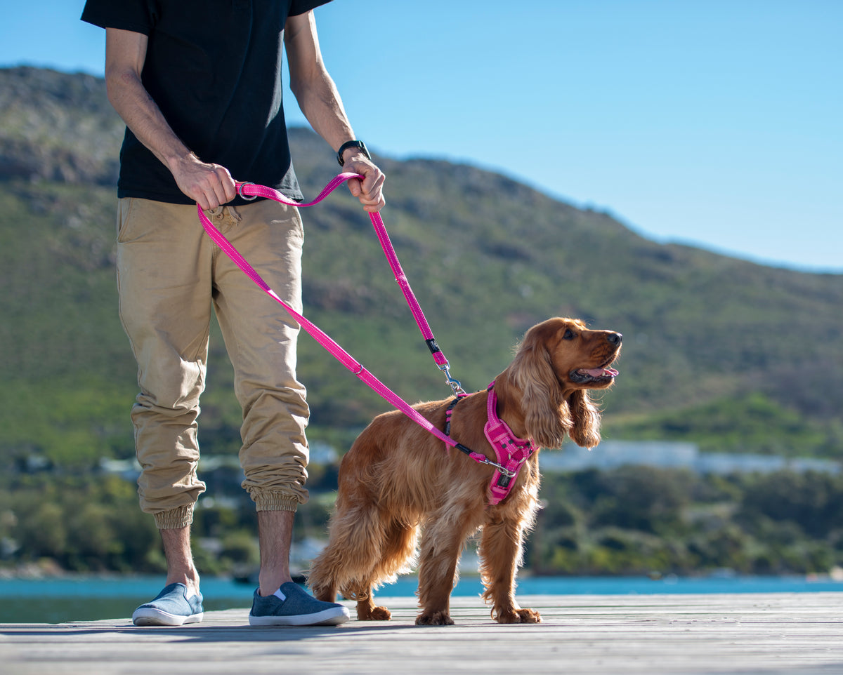 Rogz Control Multi-Leash