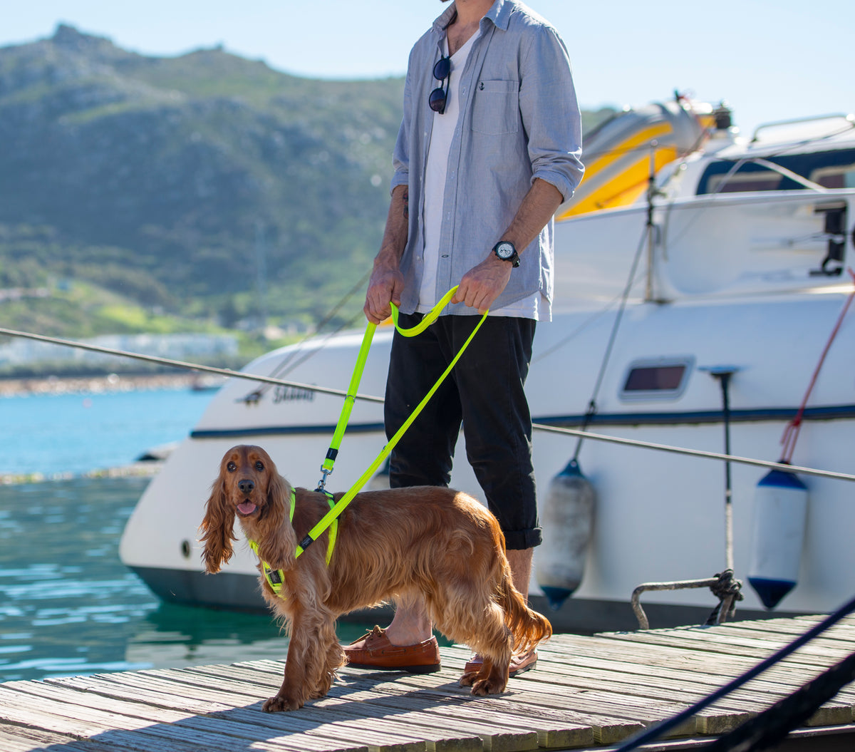 Rogz Control Multi-Leash