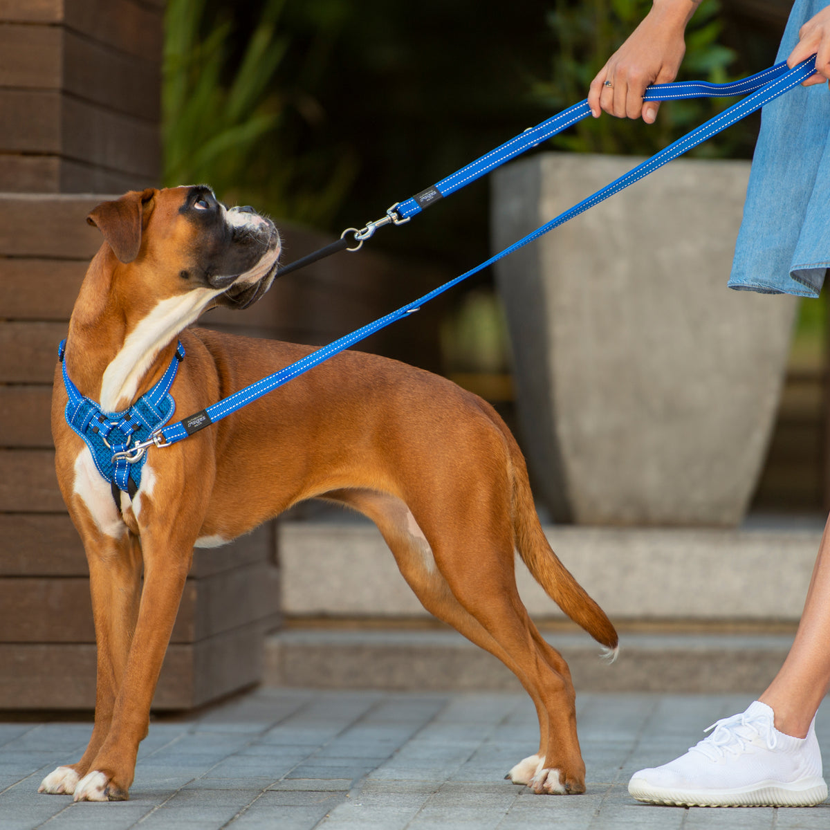 Stop Pull Harness
