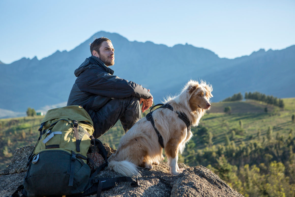 Explore Harness