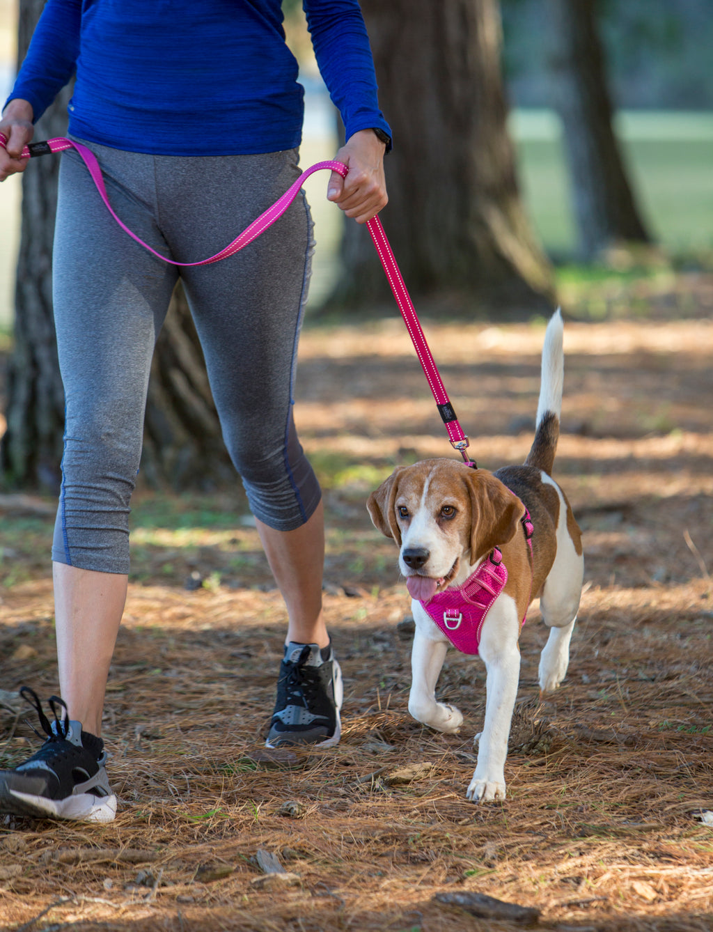 Explore Harness