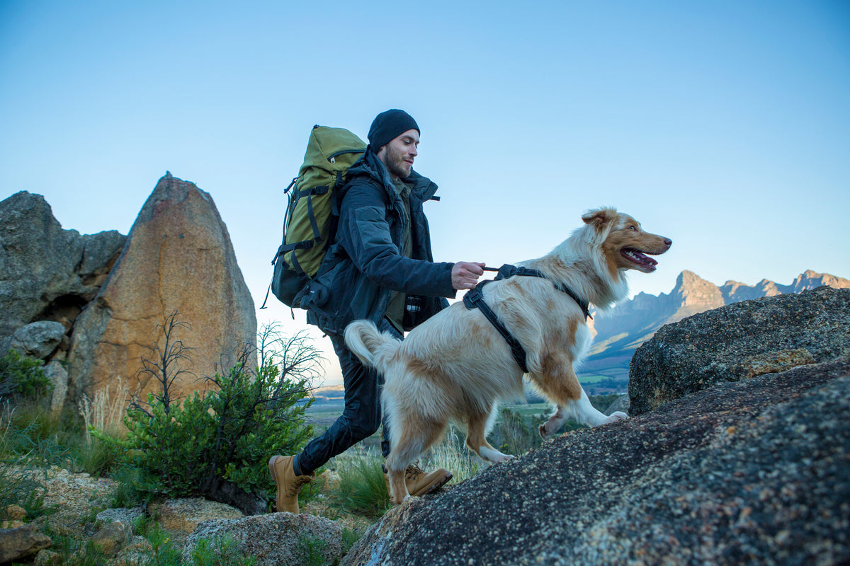 Explore Harness