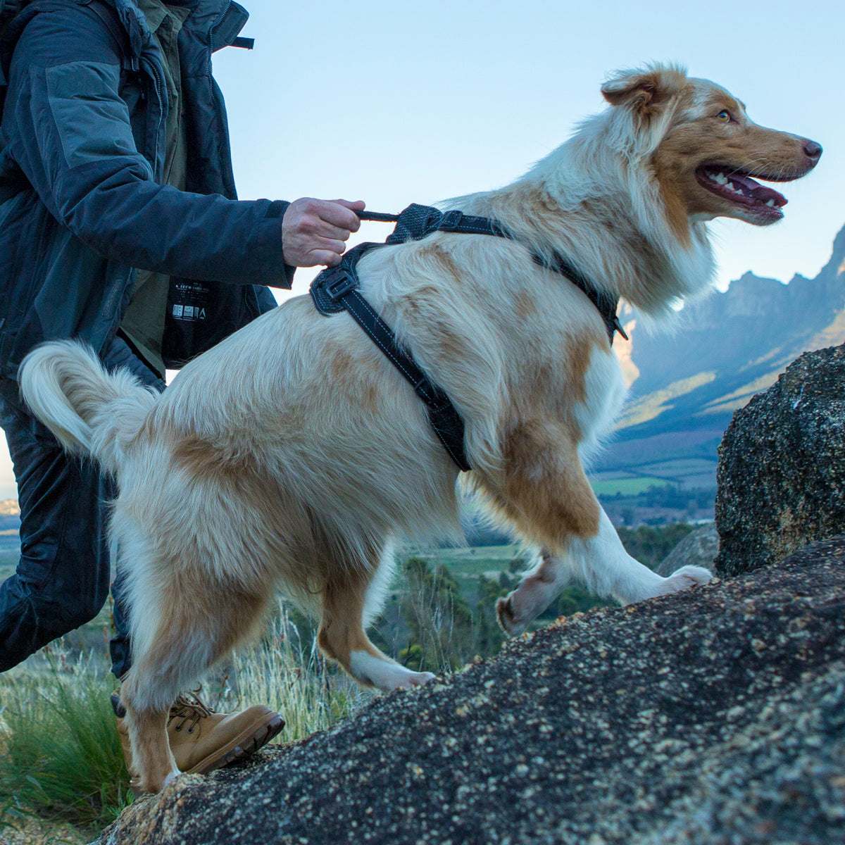 Explore Harness