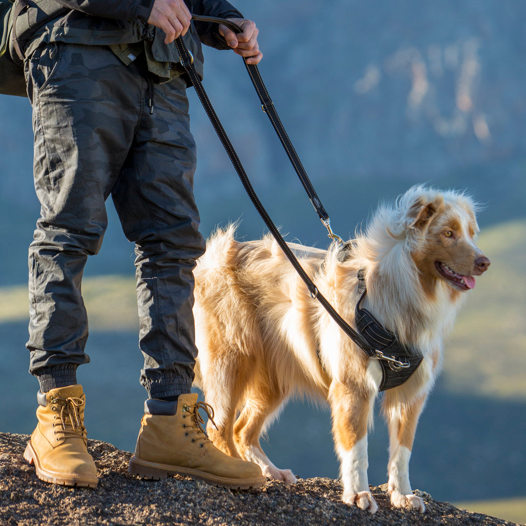 Explore Harness