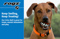 Rogz Grinz Ball - Medium Ball with Teeth (Treat-Dispensing & Floating Dog Toy)