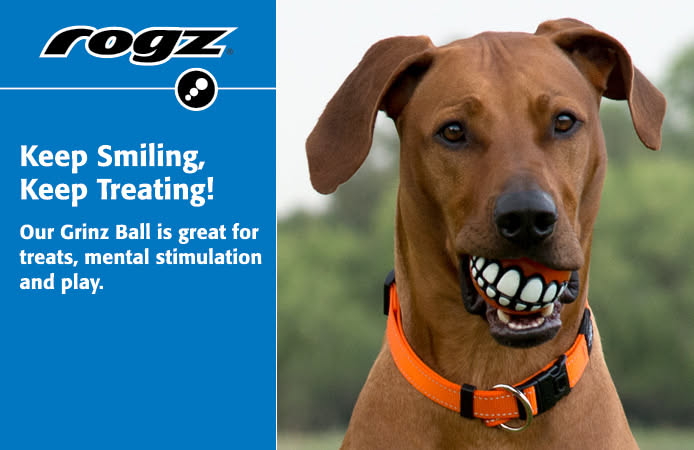 Rogz Grinz Ball - Medium Ball with Teeth (Treat-Dispensing & Floating Dog Toy)